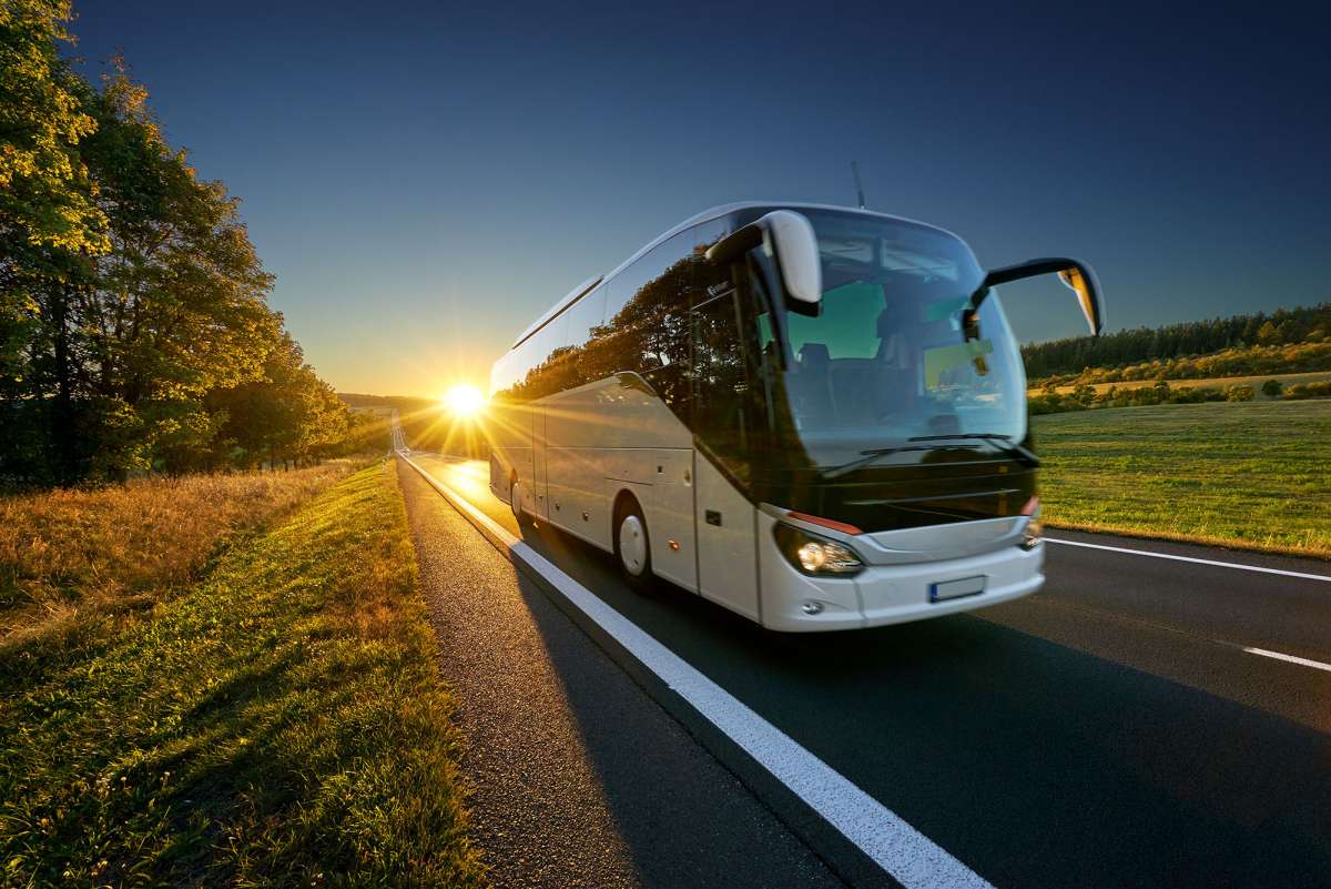 Permis de Conduire D