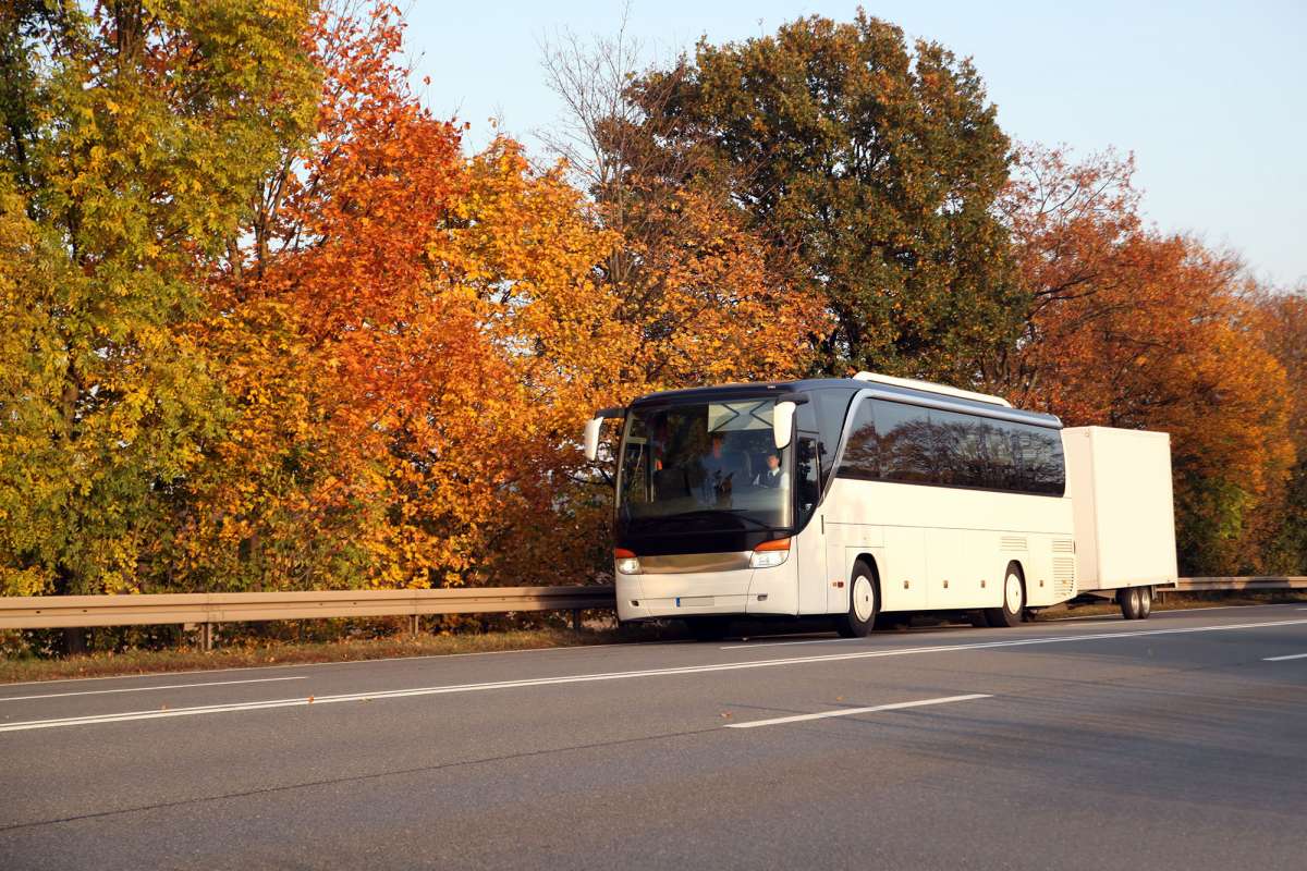Permis de Conduire DE 